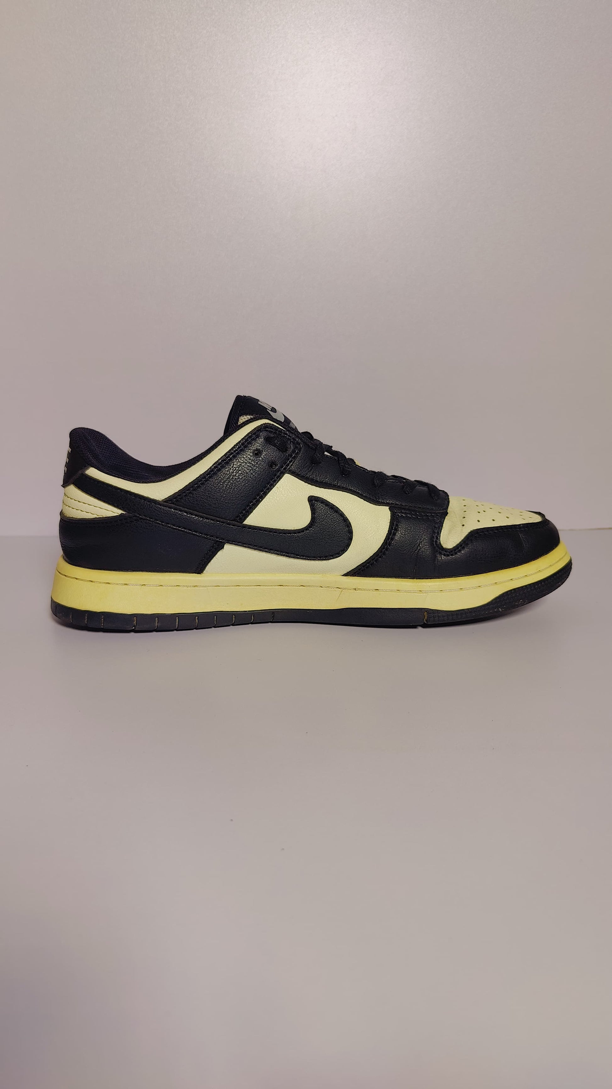 Nike SB Dunk Low Pro