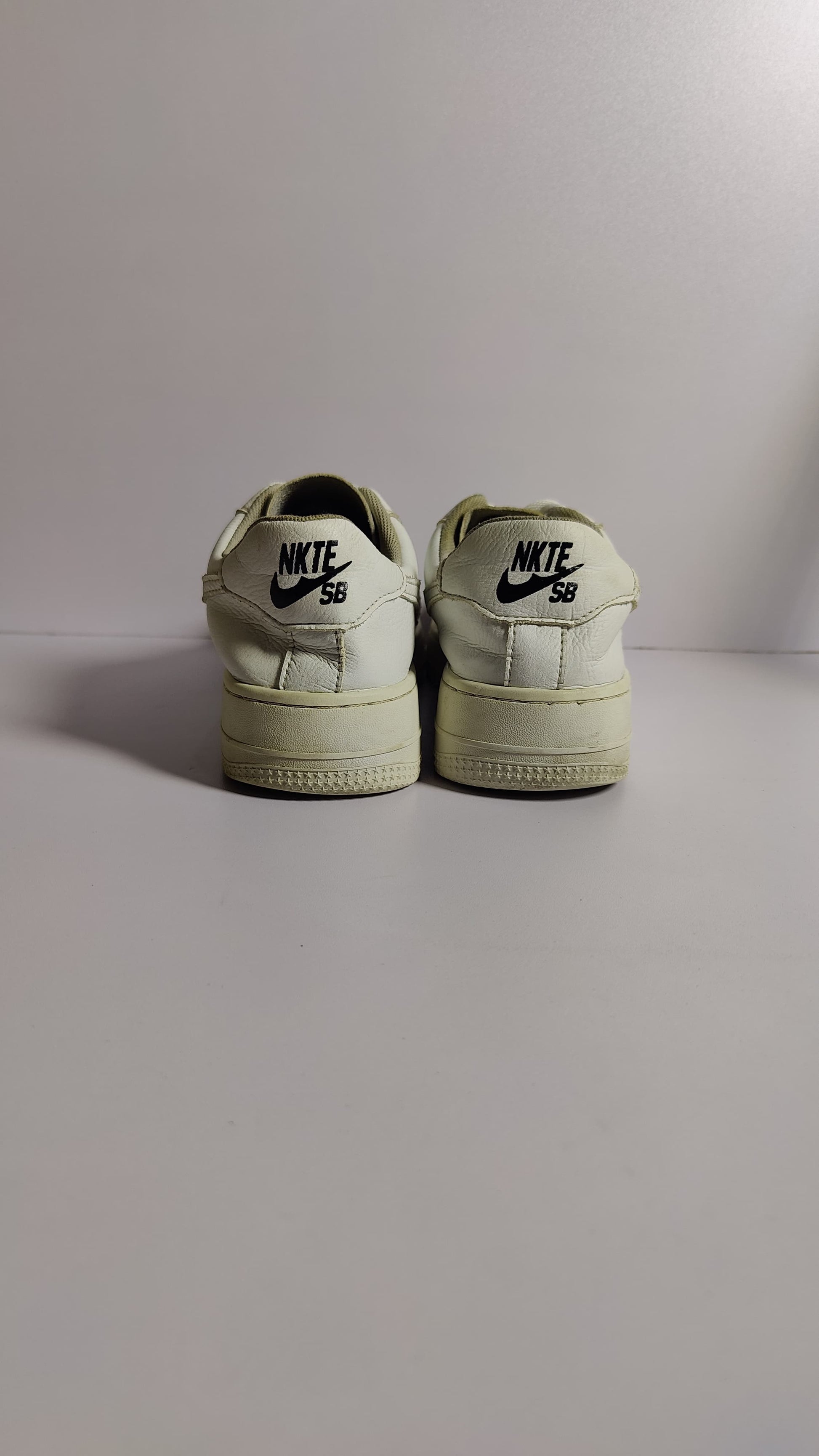 Nike SB Inspired Sneakers