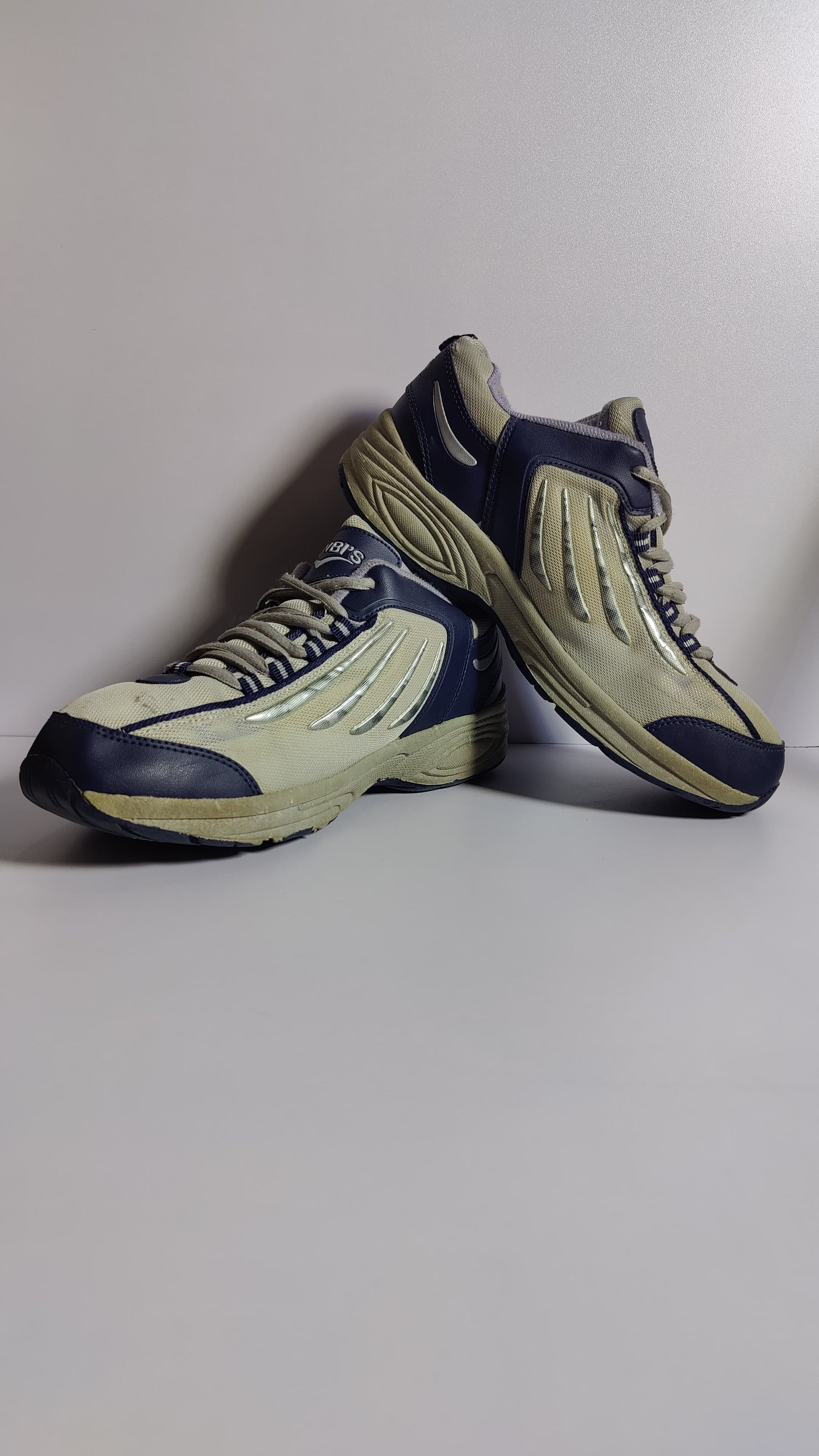 Men’s Gray & Blue Shoes